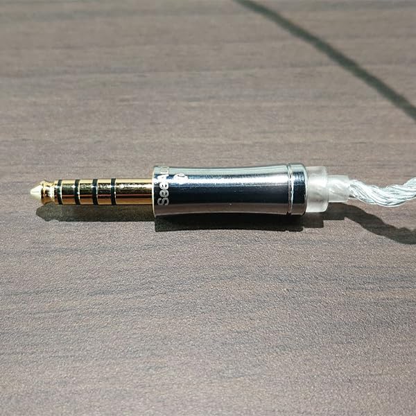 Amazon.co.jp: 【国内正規品】See audio 有線イヤホン Rinko 日本向け